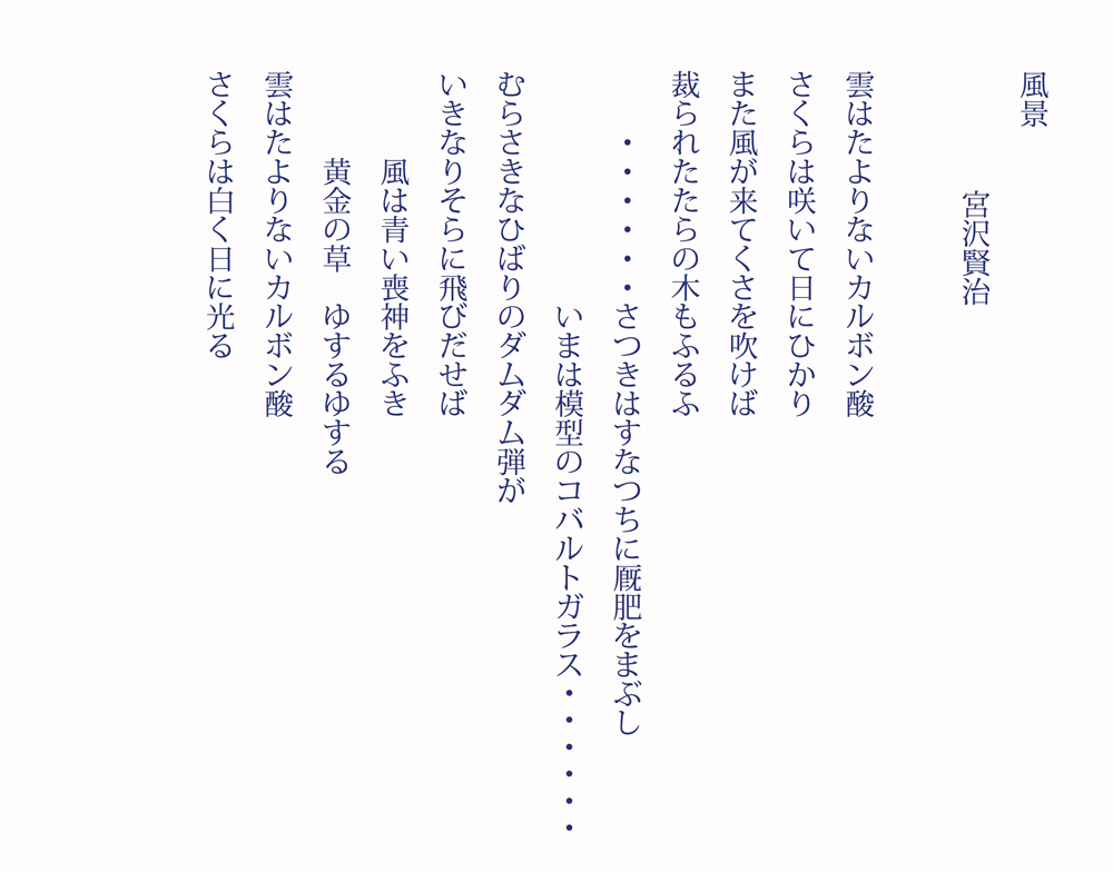 The Rna Society Of Japan 石 その八 気になること そして 左の二番目の足